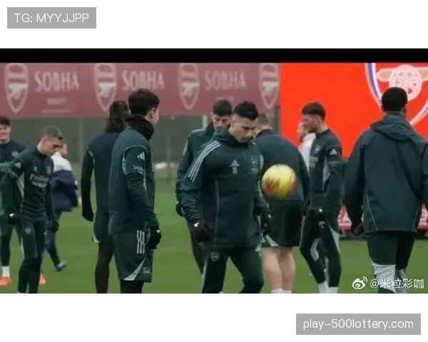 萨勒尼塔纳主力中卫训练中受伤，将缺席剩余所有联赛